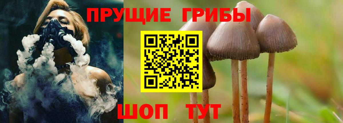 Псилоцибиновые грибы Psilocybine cubensis  Псилоцибиновые грибы прущие грибы  Вход с VPN  Орёл 